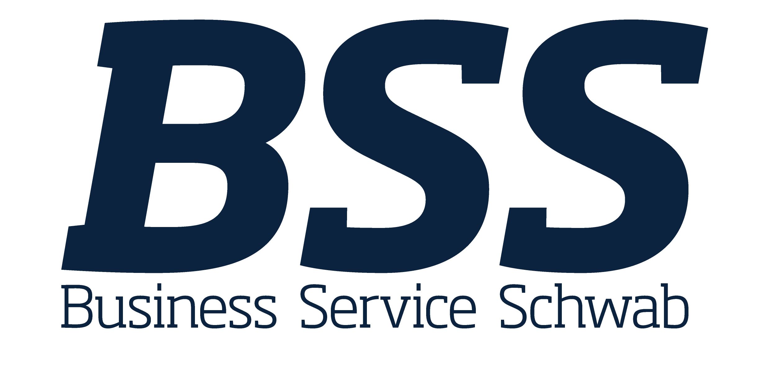 cropped-LOGO_BSS_289C-4.png